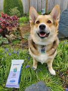 earthbath® Tushy Wipes Review