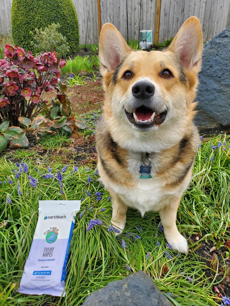 Tushy Wipes - Customer Photo From April +.