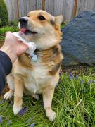 earthbath® Tushy Wipes Review