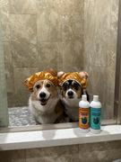 earthbath® Itch Relief Grooming Set for Dogs Review