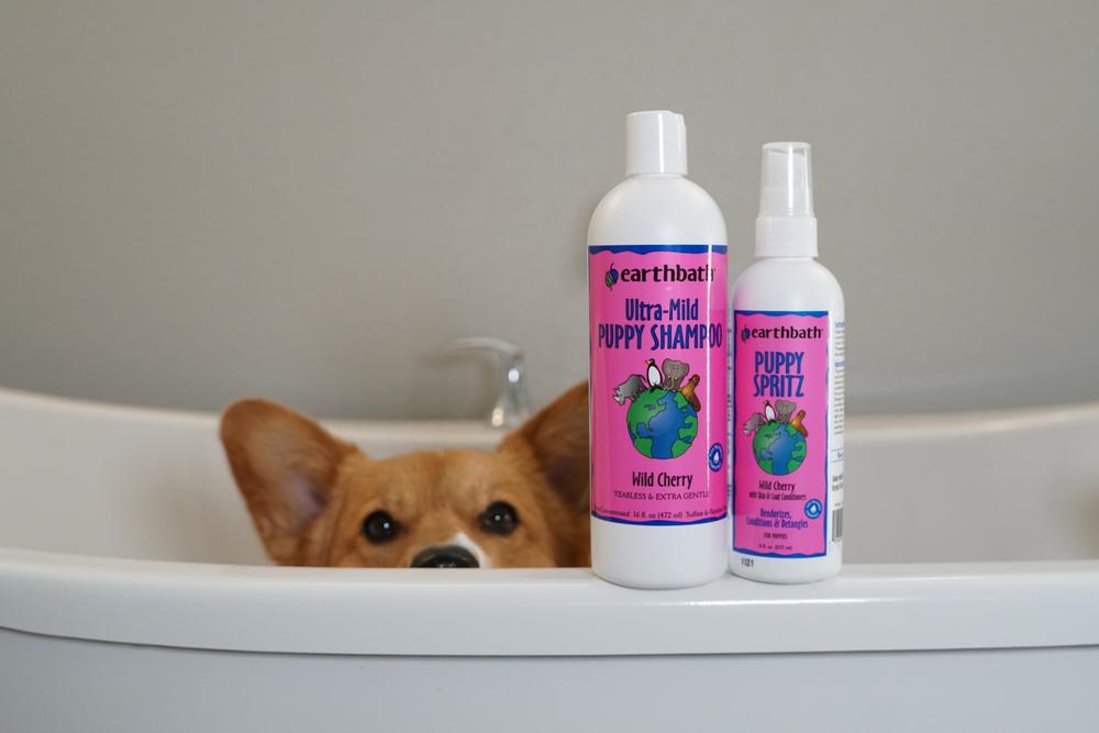 Ultra-Mild Puppy Grooming Set - Customer Photo From @nachocorgidog