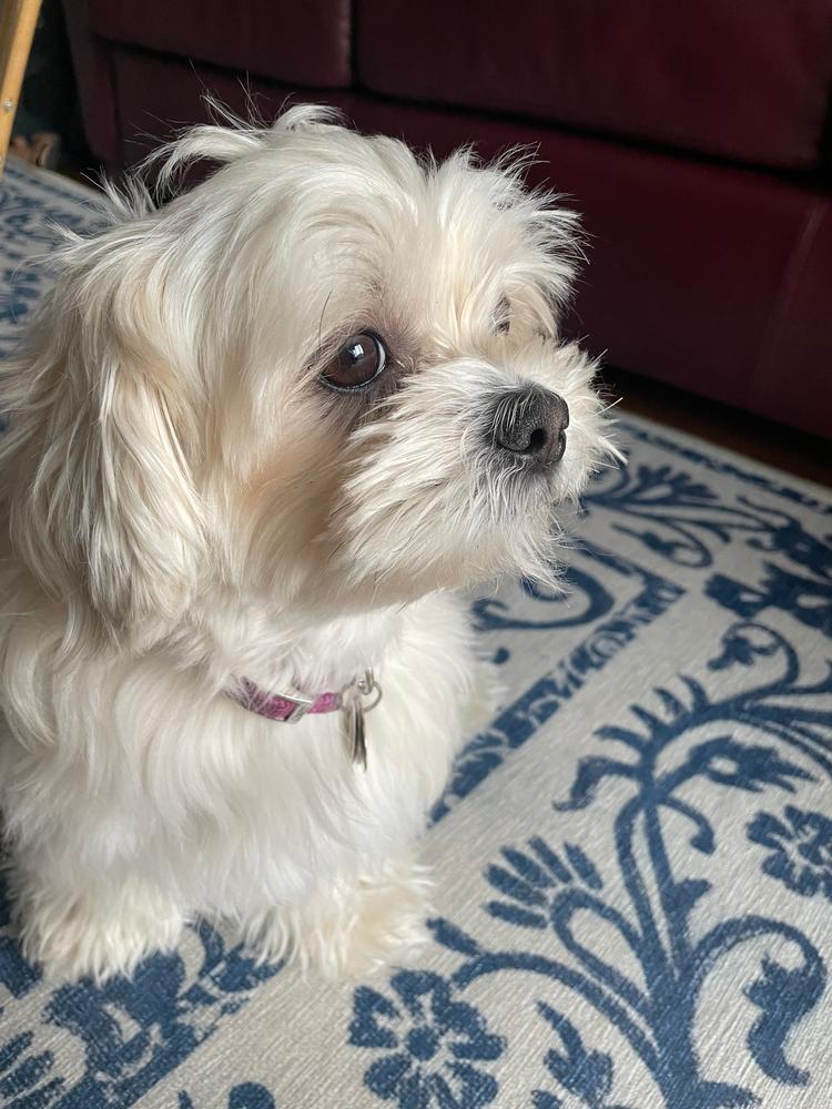 Hypoallergenic Eye Wipes - Customer Photo From Sue