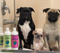 earthbath® Shea Butter Shampoo Review