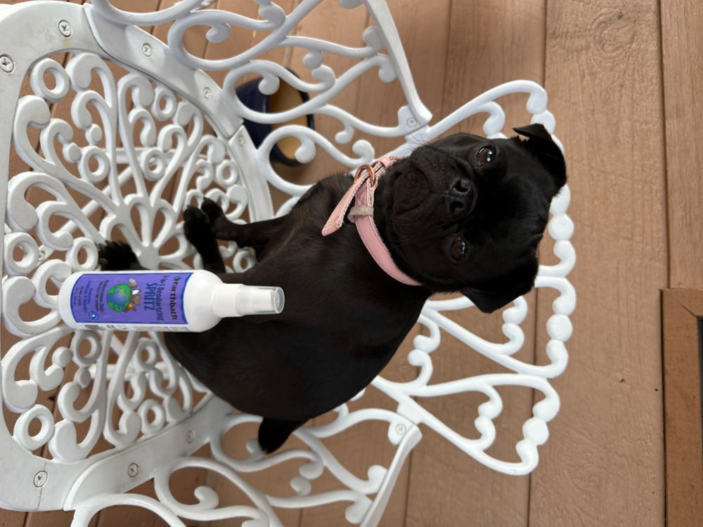 Smelly Dog Set - Customer Photo From Jilliann M.