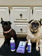 earthbath® Smelly Dog Set Review