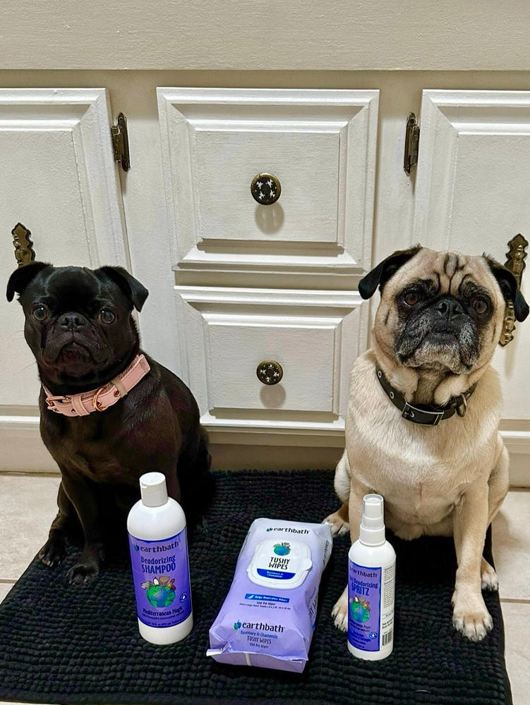 Smelly Dog Set - Customer Photo From Jilliann M.