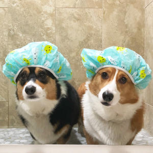 A earthbath® Customer