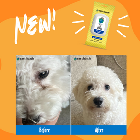 Before & after dog using Hypoallergenic Eye Wipes