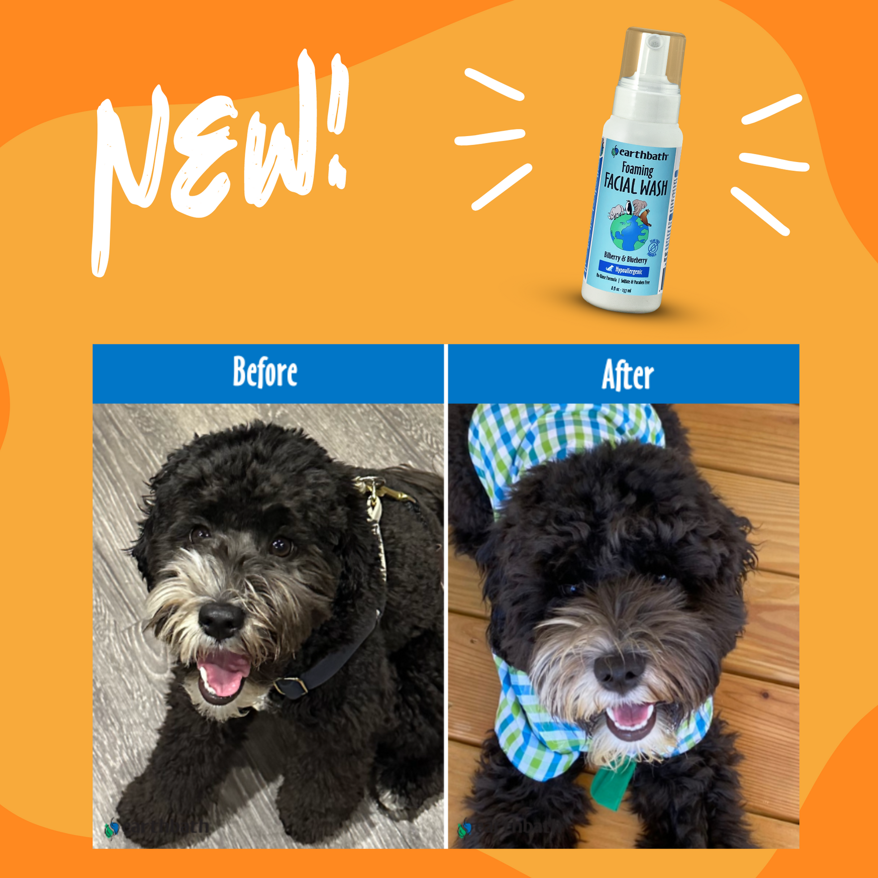 Dog before and after using Foaming Facial Wash