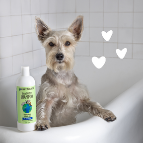 Dog using Shea Butter Shampoo with hearts