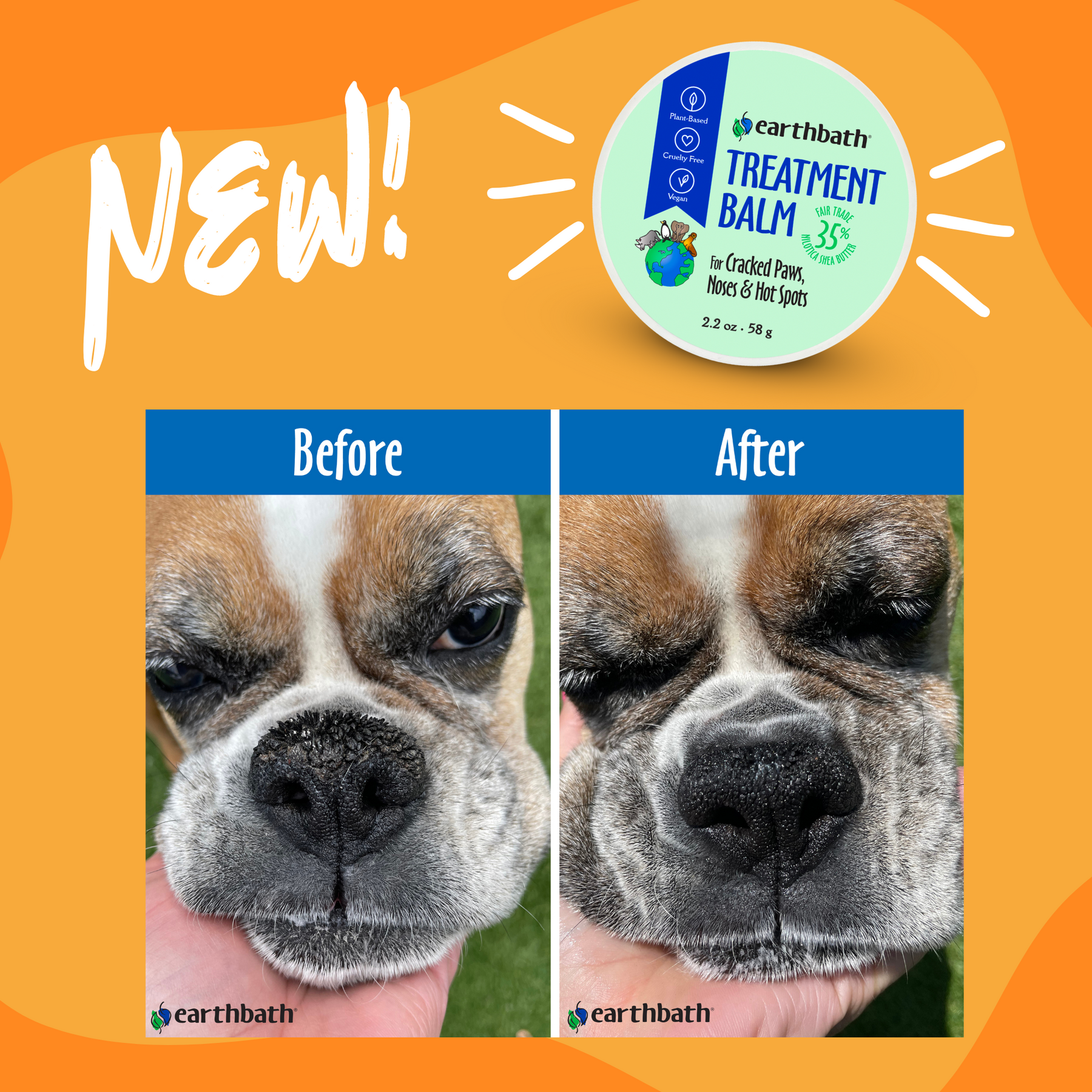 Before and after of a dog using Treatment Balm