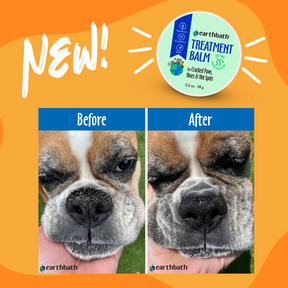 Before and after of a dog using Treatment Balm